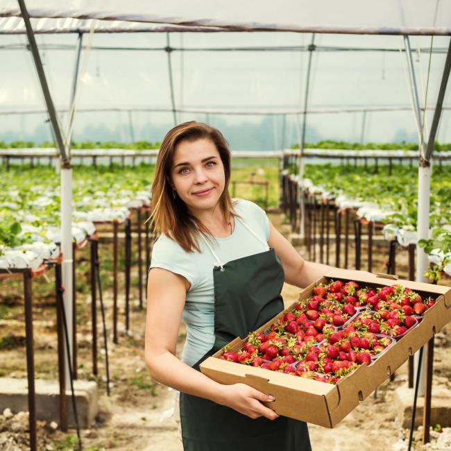 3 tips to increase your fair share in fresh produce products