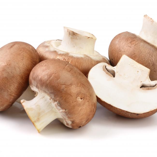 Additional vitamin D in Limax mushrooms