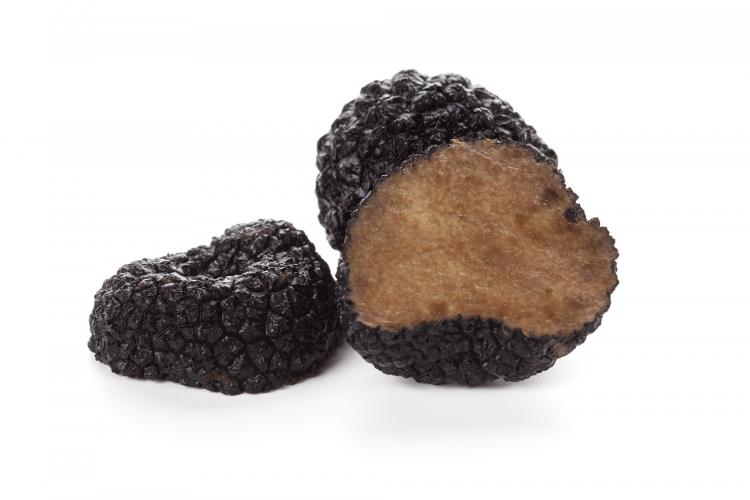 Chinese black truffle